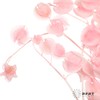 永生花材 | 灯笼果粉色 商品缩略图3