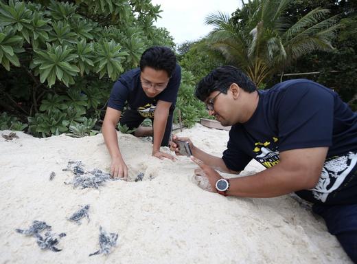 马来西亚·海龟保育义工旅行｜拒绝内耗，9天8晚在与世隔绝的海岛，与科学家一起投身海龟保育 商品图0