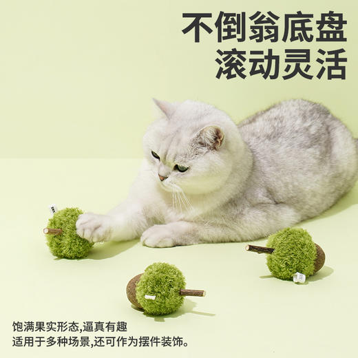 zeze青橡果猫薄荷玩具-B （包邮） 商品图4