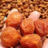 兵团大地吊树干杏240g*3 商品缩略图3