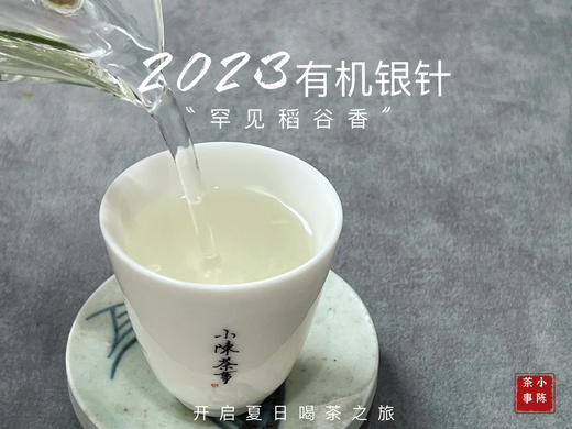 【2023春茶】2023有机银针，两个月就生出了人家一年才生成的稻谷香，太与众不同了！ 商品图11