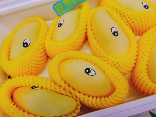 鹰嘴芒一箱 商品图4