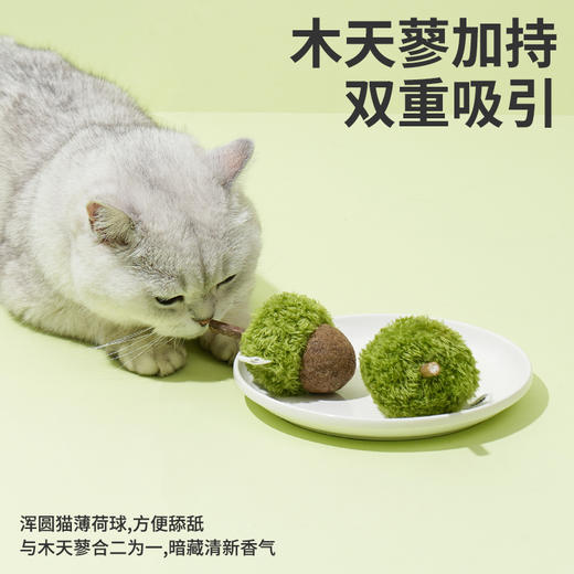 zeze青橡果猫薄荷玩具-B （包邮） 商品图2