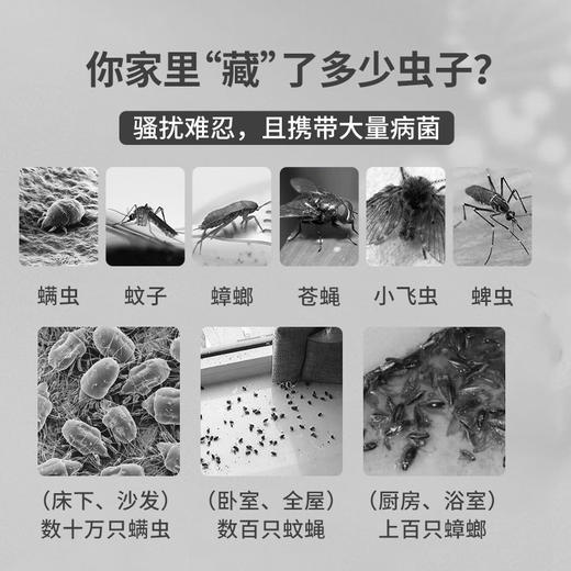 【澳洲“虫克星”】AIRUSH艾尔仕除虫菊精粹盒 澳洲原装进囗 全新设计更省空间 快速持久守护 商品图1