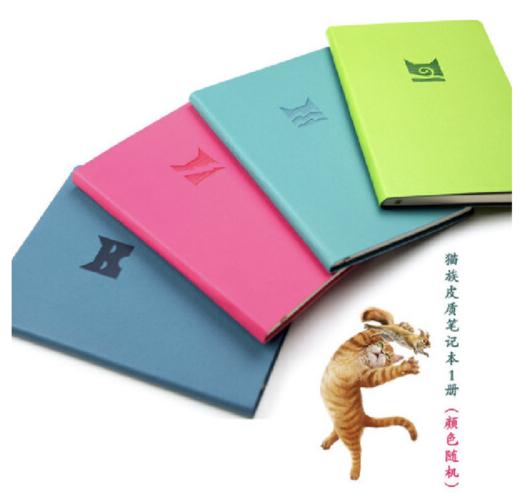 猫武士·新译本大礼盒（全42册） 1—7部曲全套。全球销量突破3000万册，媲美《哈利·波特》，奇幻动物小说经典读本，“英版沈石溪”艾琳·亨特得意之作。 商品图4