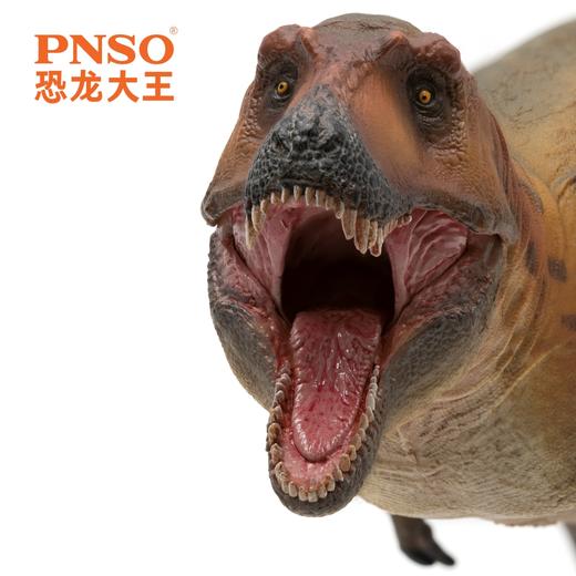 PNSO血王龙凯恩斯恐龙大王成长陪伴模型70 商品图3
