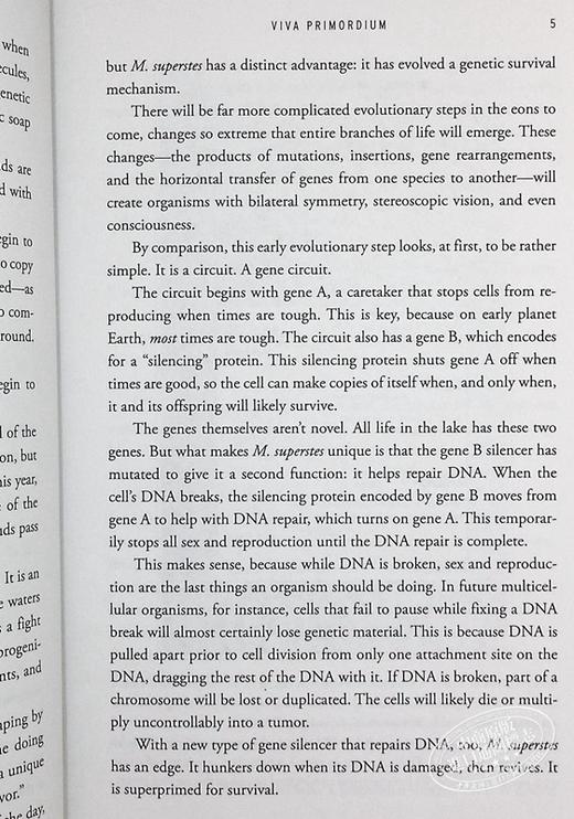 【中商原版】寿命 抗衰老主题  Lifespan Why We Age and Why We Dont Have To 英文原版 David A Sinclair 医学 保健 商品图5