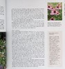 【中商原版】新式野生花园 自然种植与实用性 英文原版 New Wild Garden Naturalstyle planting and practicalities Ian Hodgson 商品缩略图7