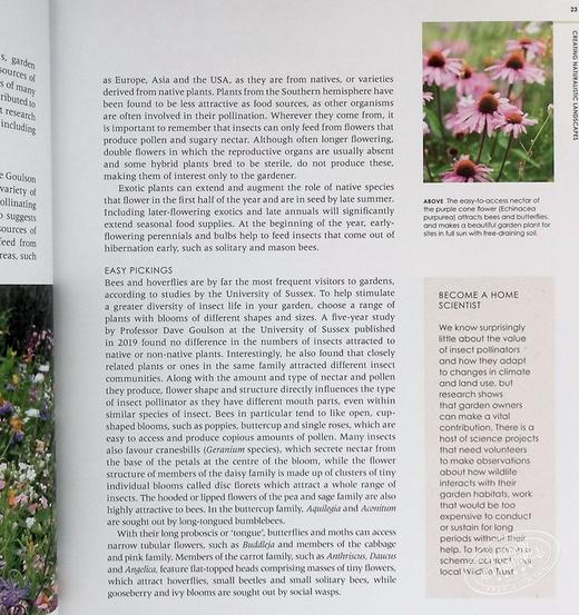 【中商原版】新式野生花园 自然种植与实用性 英文原版 New Wild Garden Naturalstyle planting and practicalities Ian Hodgson 商品图7