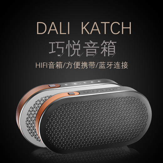 DALI达尼KATCH丹麦高音质无线蓝牙音箱便携式音箱 商品图2
