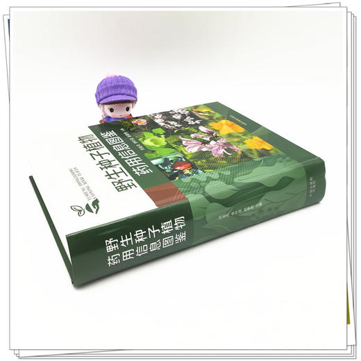 【出版社直销】野生种子植物药用信息图鉴(彩图版）刘金杰 李叶双 赵春燕 著 中国中医药出版社 中药学中华本草全国中草药汇编 商品图3