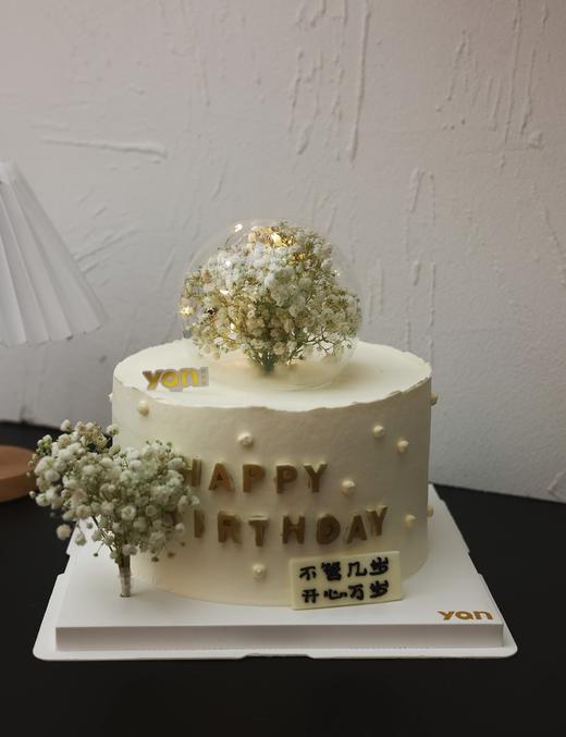 梦幻白满天星-加高 商品图2