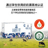 【自营】土姥姥新疆纯牛奶200ML*10盒 商品缩略图2