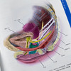 新版精装盆腔解剖与妇产科手术图谱中卷 原书第5版解剖图谱手术医学实用妇产科学妇科医学书内镜检查与内镜手术妇产科主治医师用书 商品缩略图4