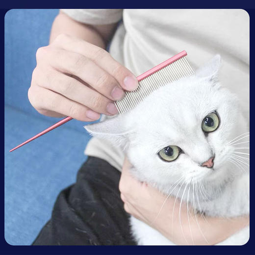 宠物美容分界梳铝柄尖尾梳挑毛梳长毛狗狗猫咪通用 商品图3