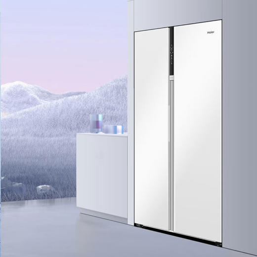 海尔（Haier）冰箱 BCD-621WLHSS95W9U1 商品图0