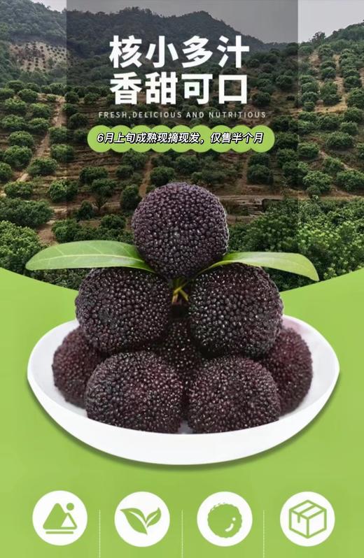 慈溪精选现摘大颗杨梅 商品图1