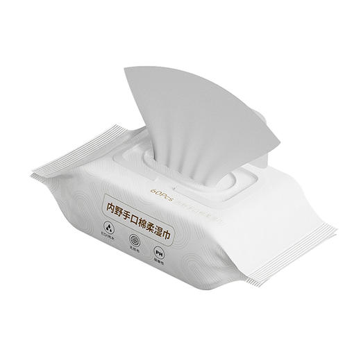 13951-DSWW0010-N-内野湿纸巾-60抽-10包装 商品图3