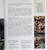 【中商原版】新式野生花园 自然种植与实用性 英文原版 New Wild Garden Naturalstyle planting and practicalities Ian Hodgson 商品缩略图6