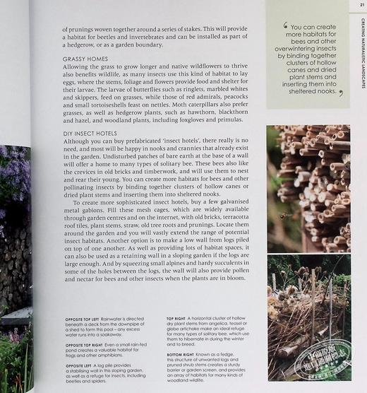 【中商原版】新式野生花园 自然种植与实用性 英文原版 New Wild Garden Naturalstyle planting and practicalities Ian Hodgson 商品图6