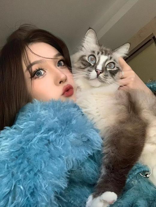 【大直径】Sugarplum-冰岛极光-14.5mm【年抛 度数0-1000度 无525/575 】 商品图13