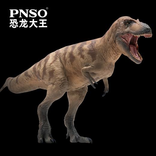 PNSO惧龙科尔恐龙大王成长陪伴模型73 商品图4