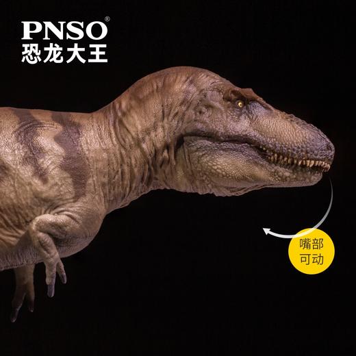 PNSO惧龙科尔恐龙大王成长陪伴模型73 商品图3