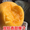 山东  黄金油桃 商品缩略图4