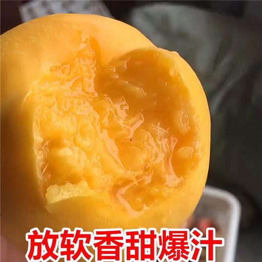 山东  黄金油桃 商品图4