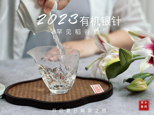 【2023春茶】2023有机银针，两个月就生出了人家一年才生成的稻谷香，太与众不同了！ 商品图9