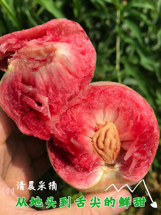 河南桐柏血桃 新鲜水果整箱5斤 商品图3