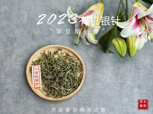 【2023春茶】2023有机银针，两个月就生出了人家一年才生成的稻谷香，太与众不同了！ 商品图1
