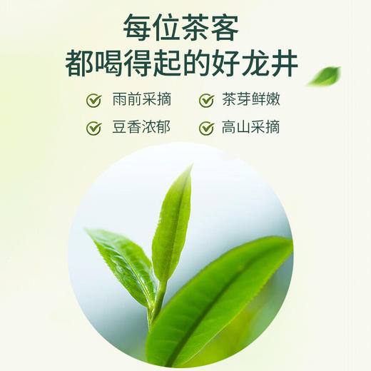 豆香龙井绿茶2025新茶春茶125g*2袋 龙井5星 商品图3