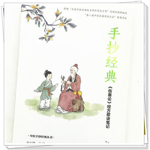 【出版社直销】手抄经典伤寒论经方歌诀笔记 龙大锋 吕梁 赵娜 著 中国中医药出版社 伤寒学书籍 商品图4