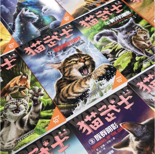 猫武士外传大礼盒（全17册，赠独家精美笔记本！ 独立小说，专注于角色，解释和补充正传中传奇主角和其族群不为人知的故事） 商品图1