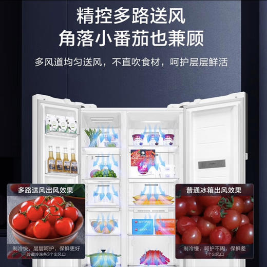 海尔（Haier）冰箱 BCD-621WLHSS95W9U1 商品图8