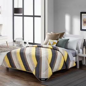 HBXWT-008 HUGO BOSS时尚印花夏被(含枕套)