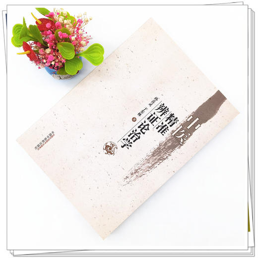 中医精准辨证论治学 孙喜灵 于东林 著 中国中医药出版社 商品图1