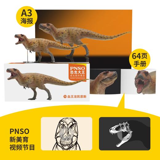 PNSO血王龙凯恩斯恐龙大王成长陪伴模型70 商品图1