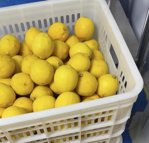 柠檬陈皮膏 新会陈皮 八小时熬制 手工制作 450克 商品图14