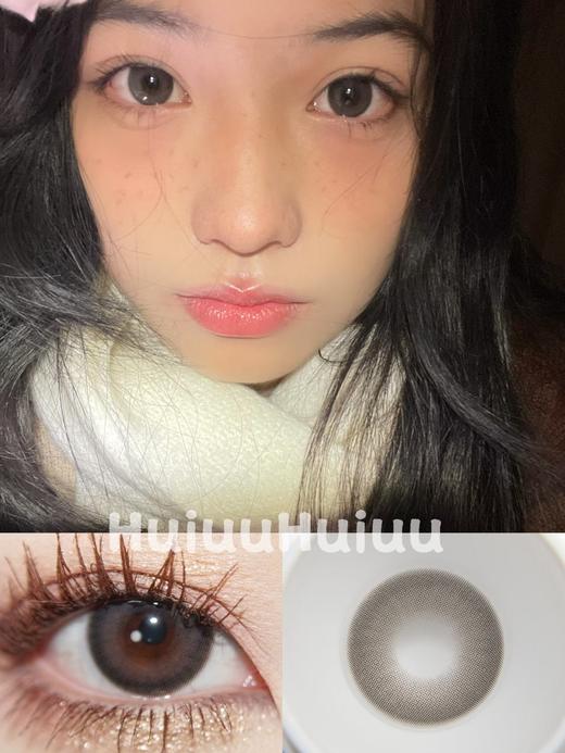 【大直径】Sugarplum-夏特尔猫-14.5mm【年抛 度数0-1000度 无525/575 】 商品图0