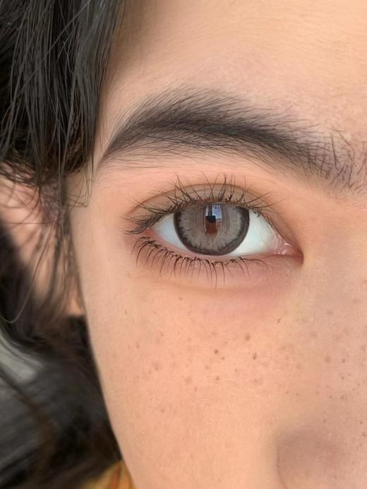 【大直径】Sugarplum-黑木果-14.5mm【年抛 度数0-1000度 无525/575 】 商品图6