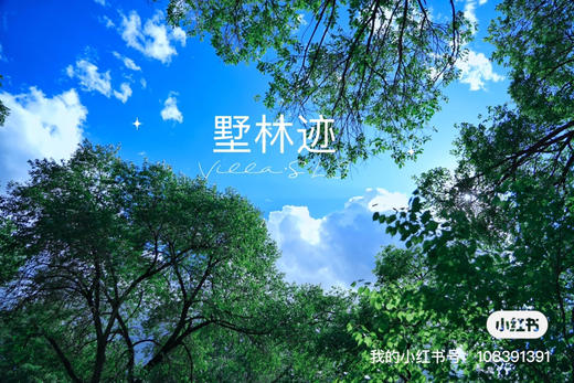 【露营】B区-阶梯固定营位单人票 商品图4