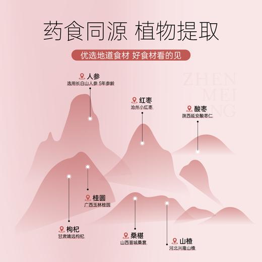 NUTRI壹营养珍美养元气丸102g 商品图2