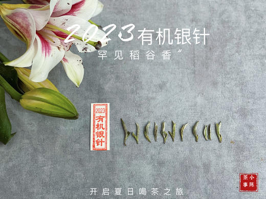 【2023春茶】2023有机银针，两个月就生出了人家一年才生成的稻谷香，太与众不同了！ 商品图2