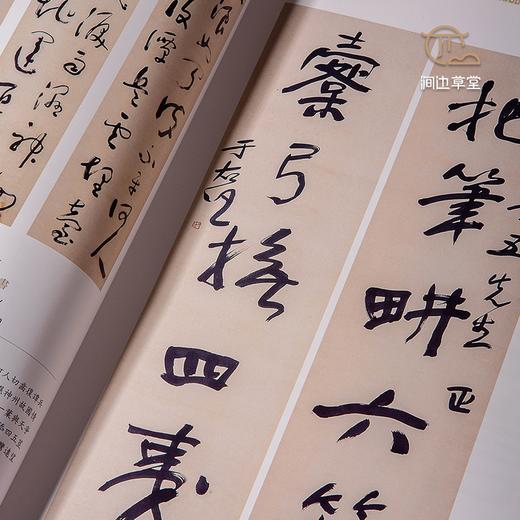 【绝版好书】《瀚海藏珍─中华文物学会30周年纪念展》大16开167页，2009年台湾历史博物馆初版 商品图7