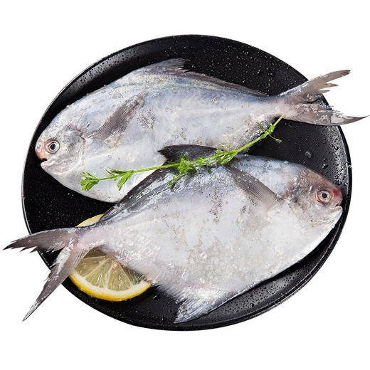 淘鲜拾光  东海原条银鲳鱼 500g克/袋（约5条） 商品图1