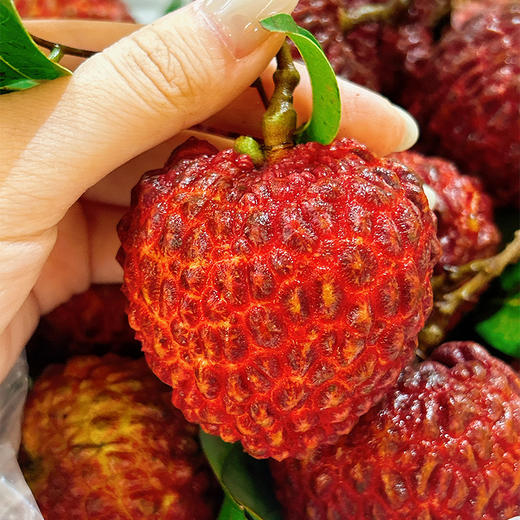 海南荔枝王 |水果 商品图1