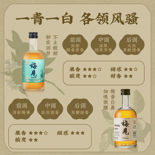 新人福利 | 梅见12度青梅原味330ml*1+14度青柑梅酒330ml*2低度酒女士微醺青梅酒梅子酒 商品图4