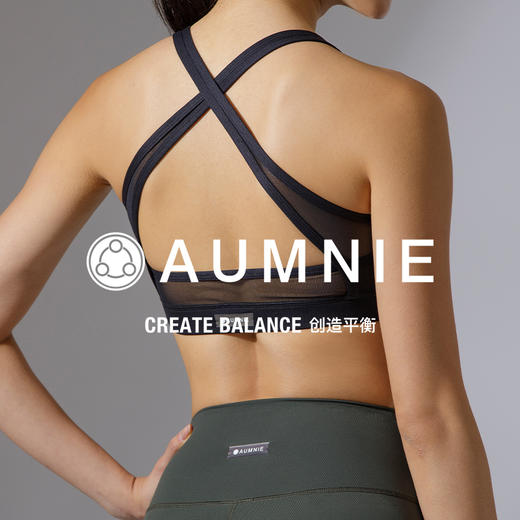 【新品】穿越胸围 TRAVERSE BRA 商品图1